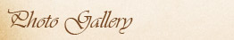 Photo Gallery